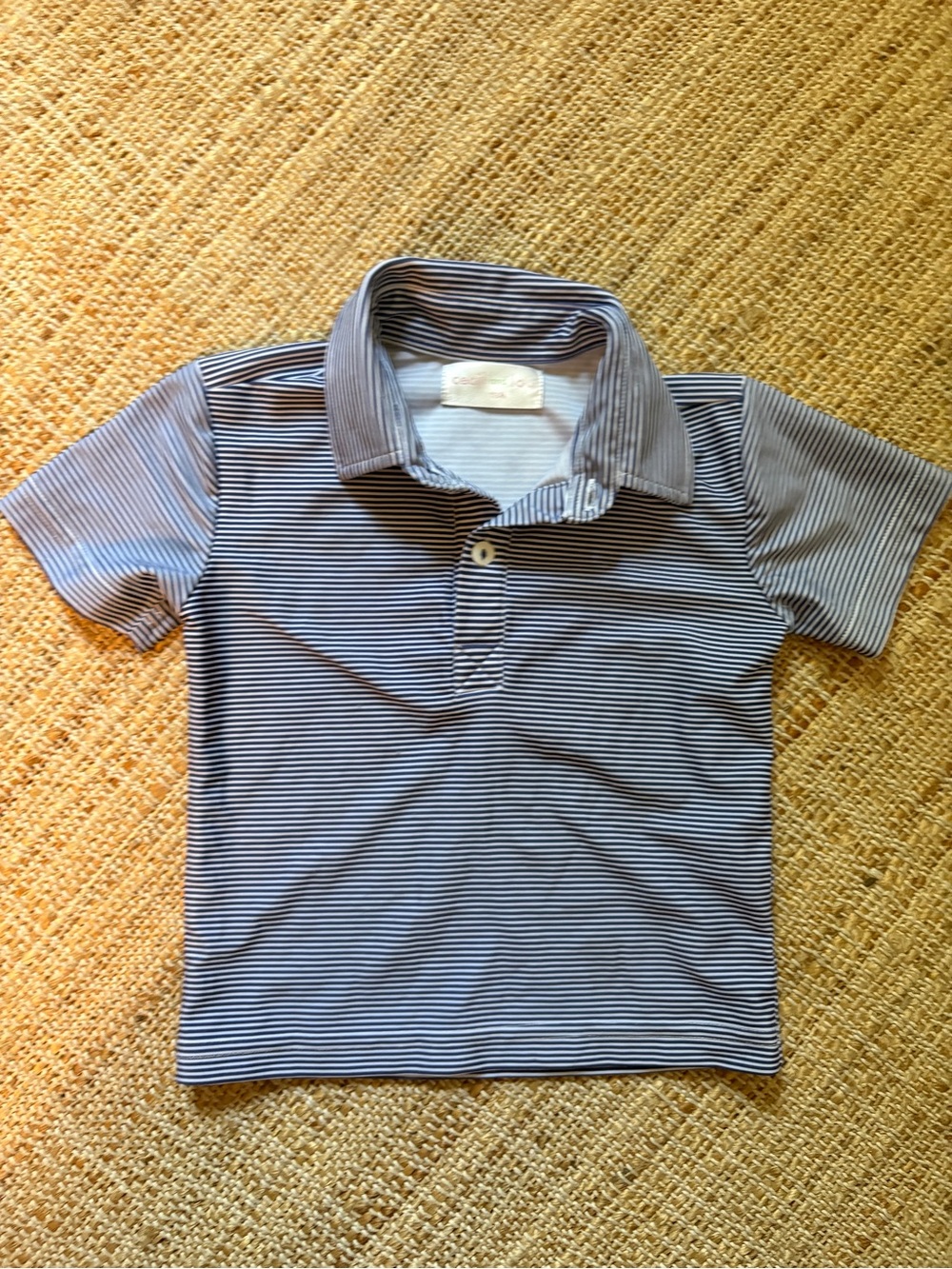 Cecil and Lou Performance polo